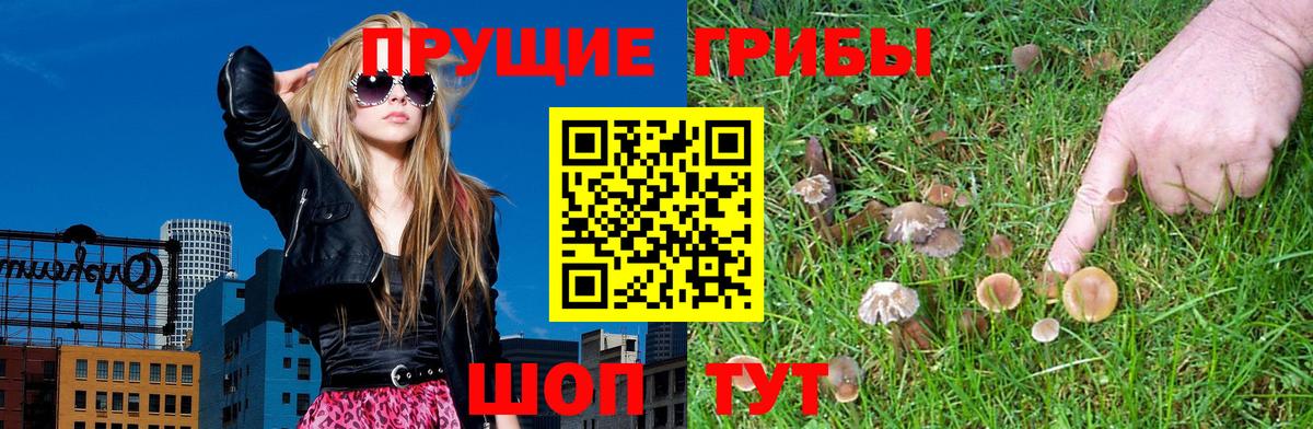 Галлюциногенные грибы MAGIC MUSHROOMS  Вход с VPN  сколько стоит  Верхний Уфалей 