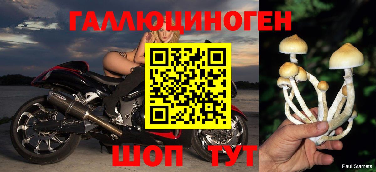 Псилоцибиновые грибы Psilocybine cubensis Верхний Уфалей